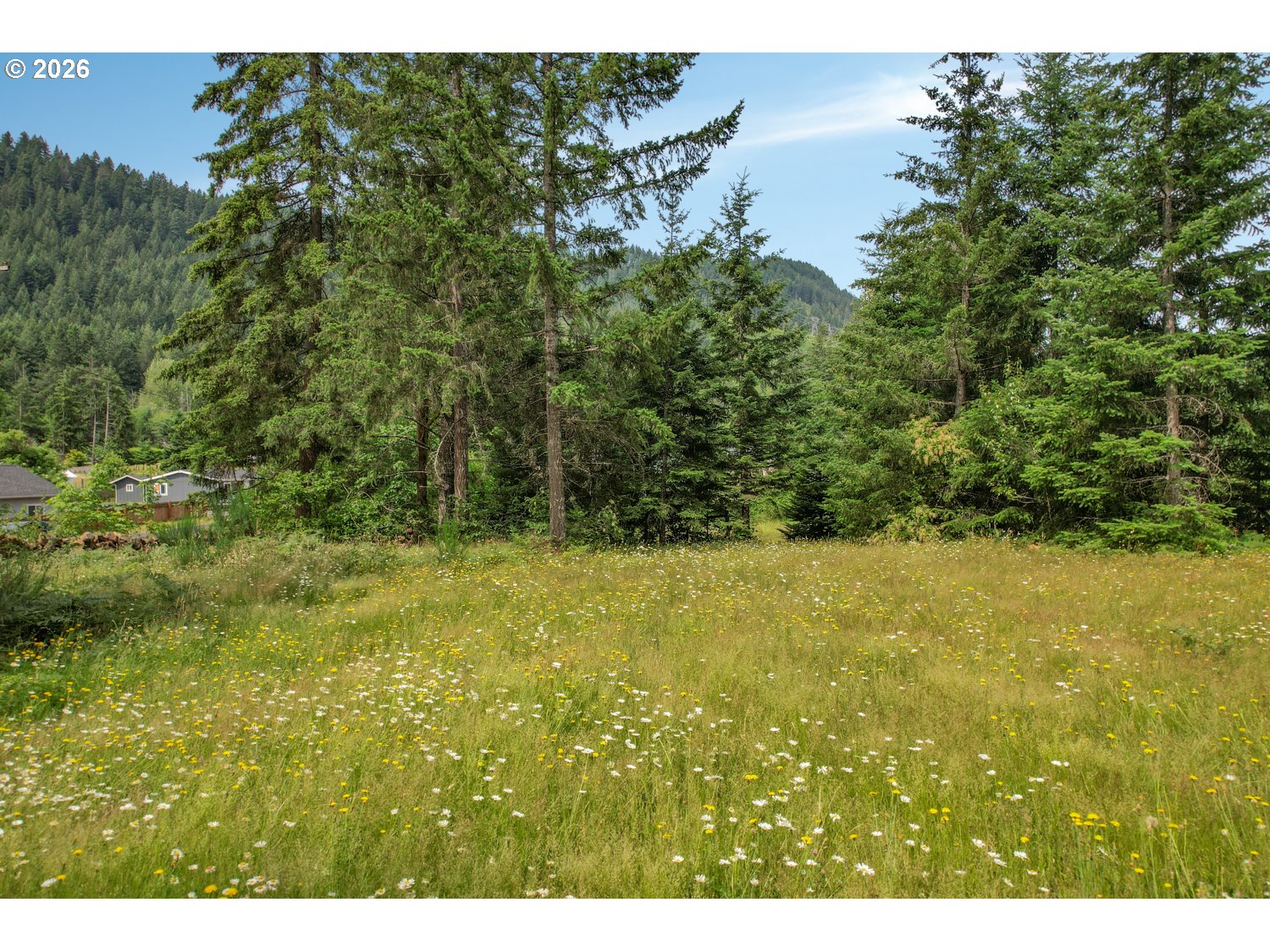 181 Vada Street Carson, WA 98610 - Photo 40 of 42