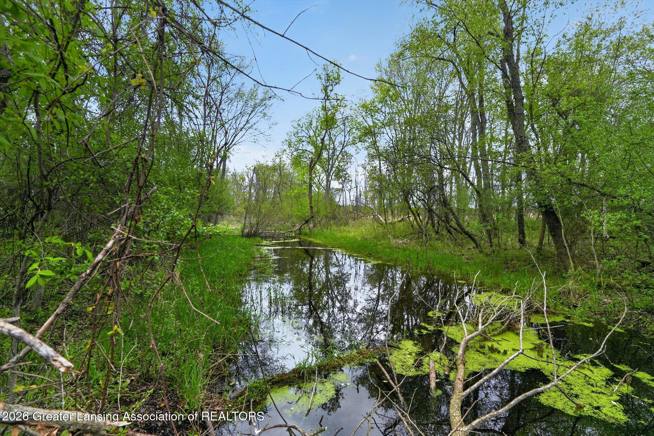 12791 Upton Road Bath, MI 48808 - Photo 10 of 47 47-12791-Upton-Rd-WindowStill