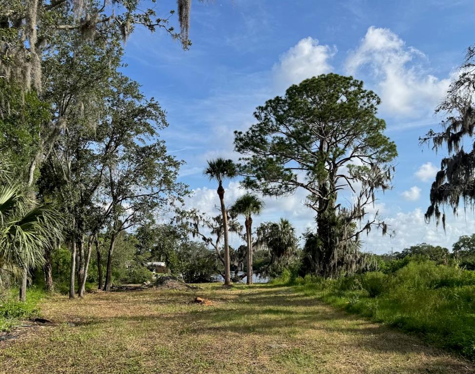 a backyard of a house with lots of green space