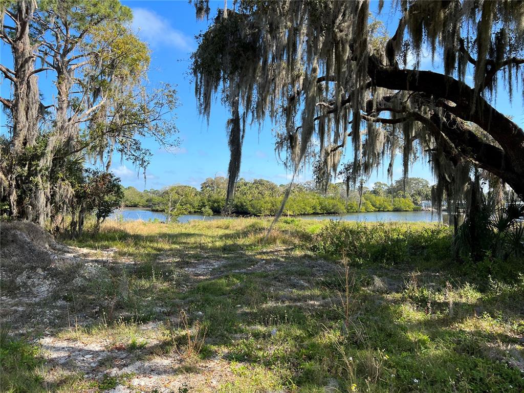 Tiberius Trail New Port Richey, FL 34652 - Photo 2 of 4 a view of a yard with a palm tree