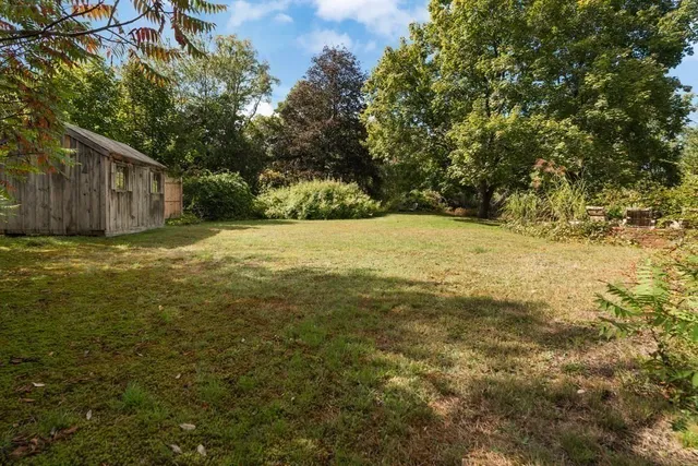 a view of a yard with an trees
