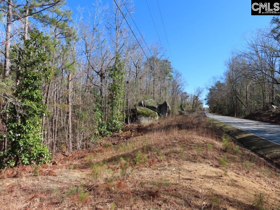 0 Rion Road Winnsboro, SC 29180 - Photo 12 of 42