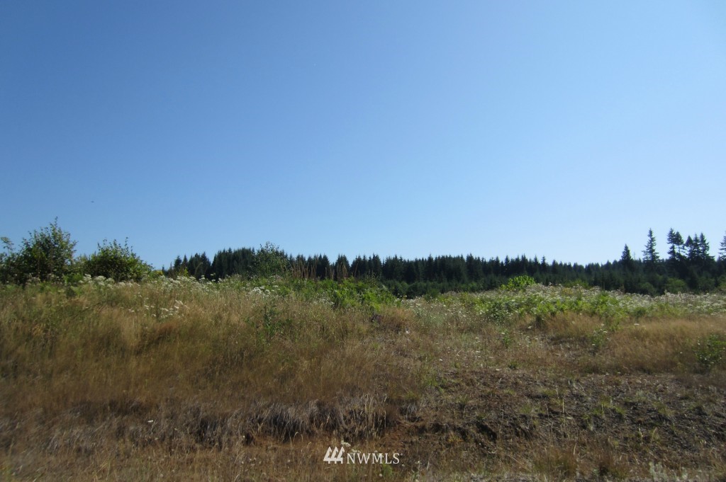 43 Silver Ridge Castle Rock, WA 98611 - Photo 1 of 1