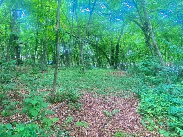 25410 98th Street Northwest Zimmerman, MN 55398 - Photo 2 of 4