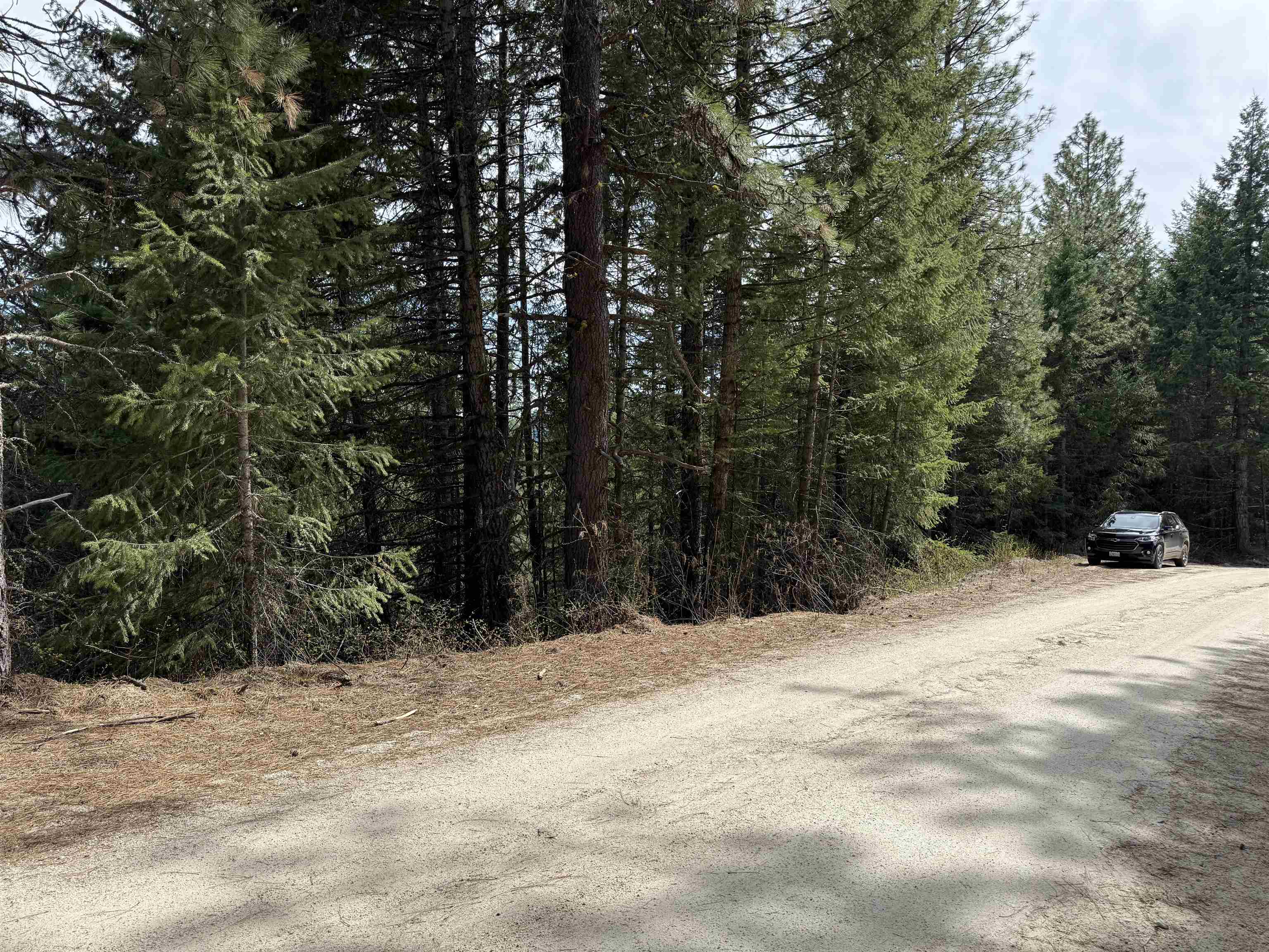 Nna Buck Creek Road Loon Lake, WA 99148 - Photo 13 of 23