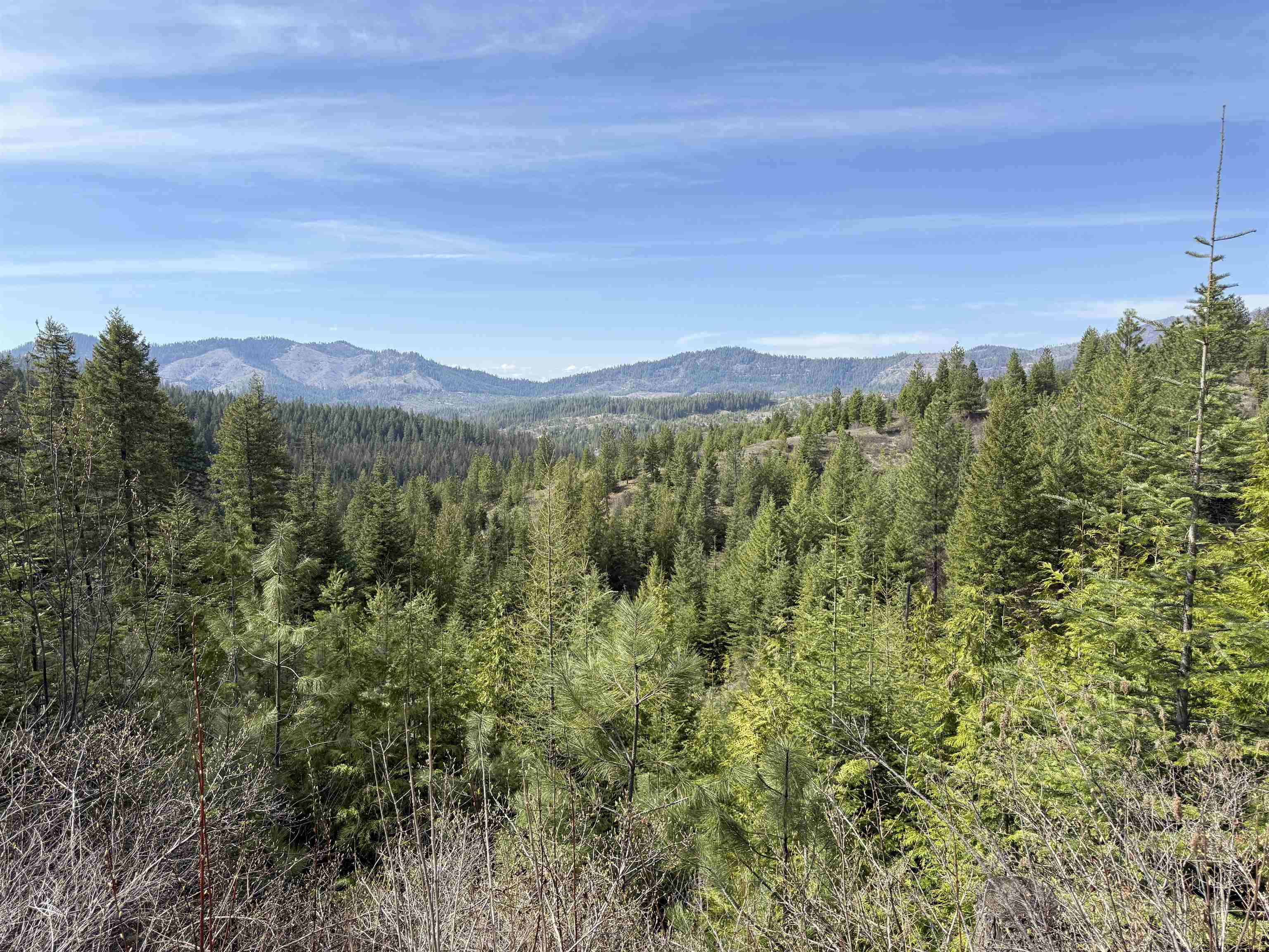 Nna Buck Creek Road Loon Lake, WA 99148 - Photo 14 of 23