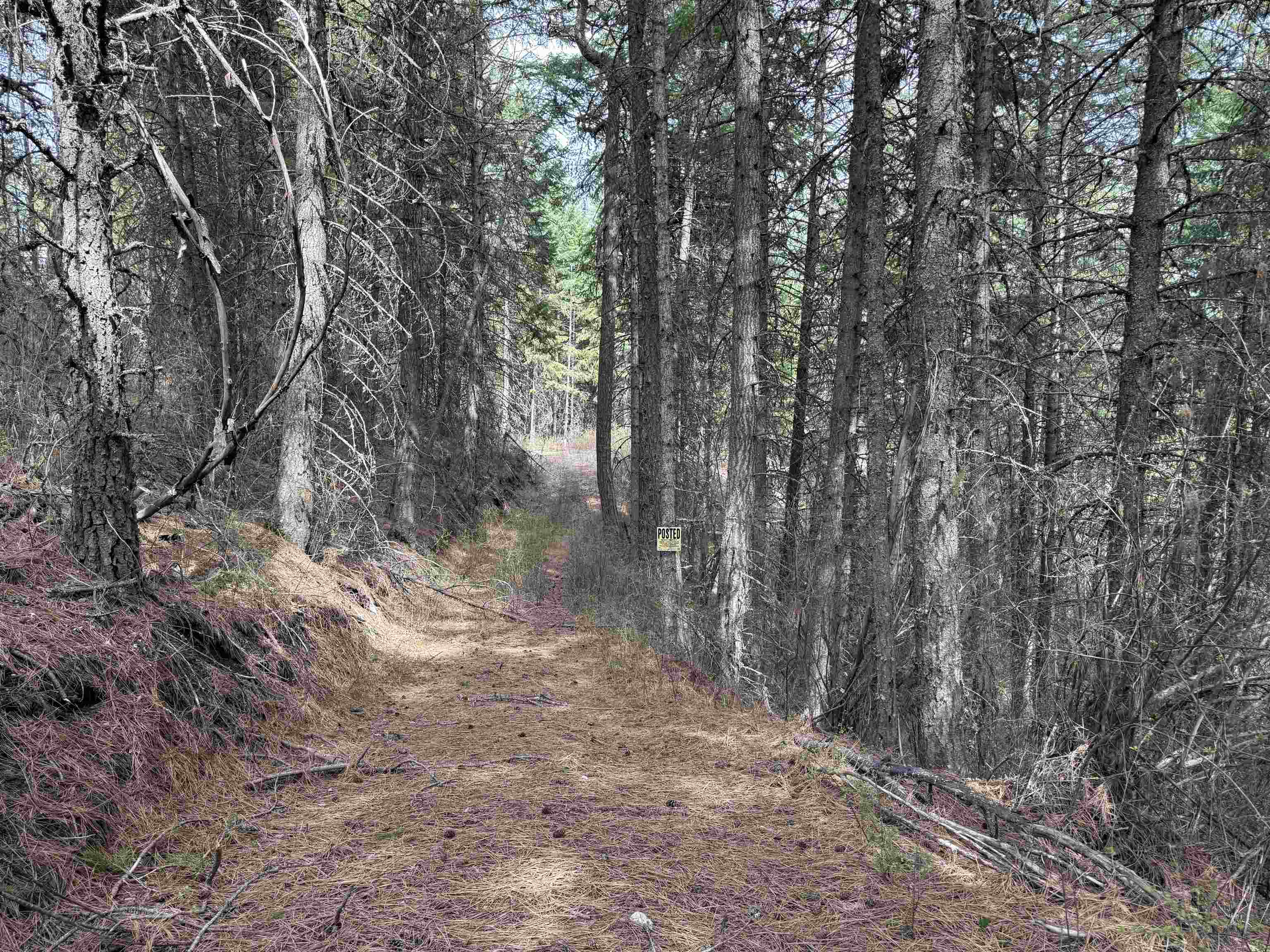 Nna Buck Creek Road Loon Lake, WA 99148 - Photo 15 of 23