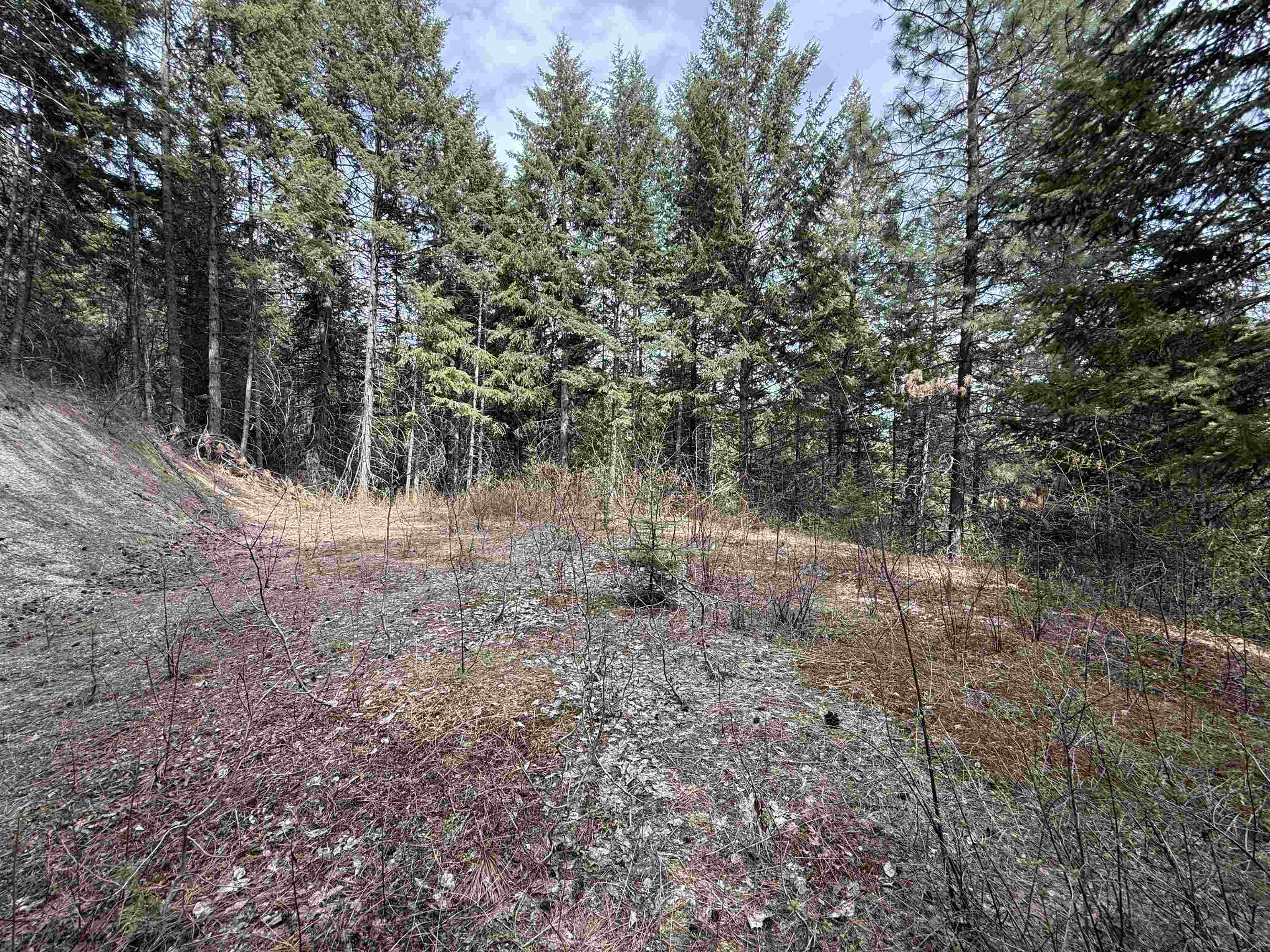 Nna Buck Creek Road Loon Lake, WA 99148 - Photo 16 of 23