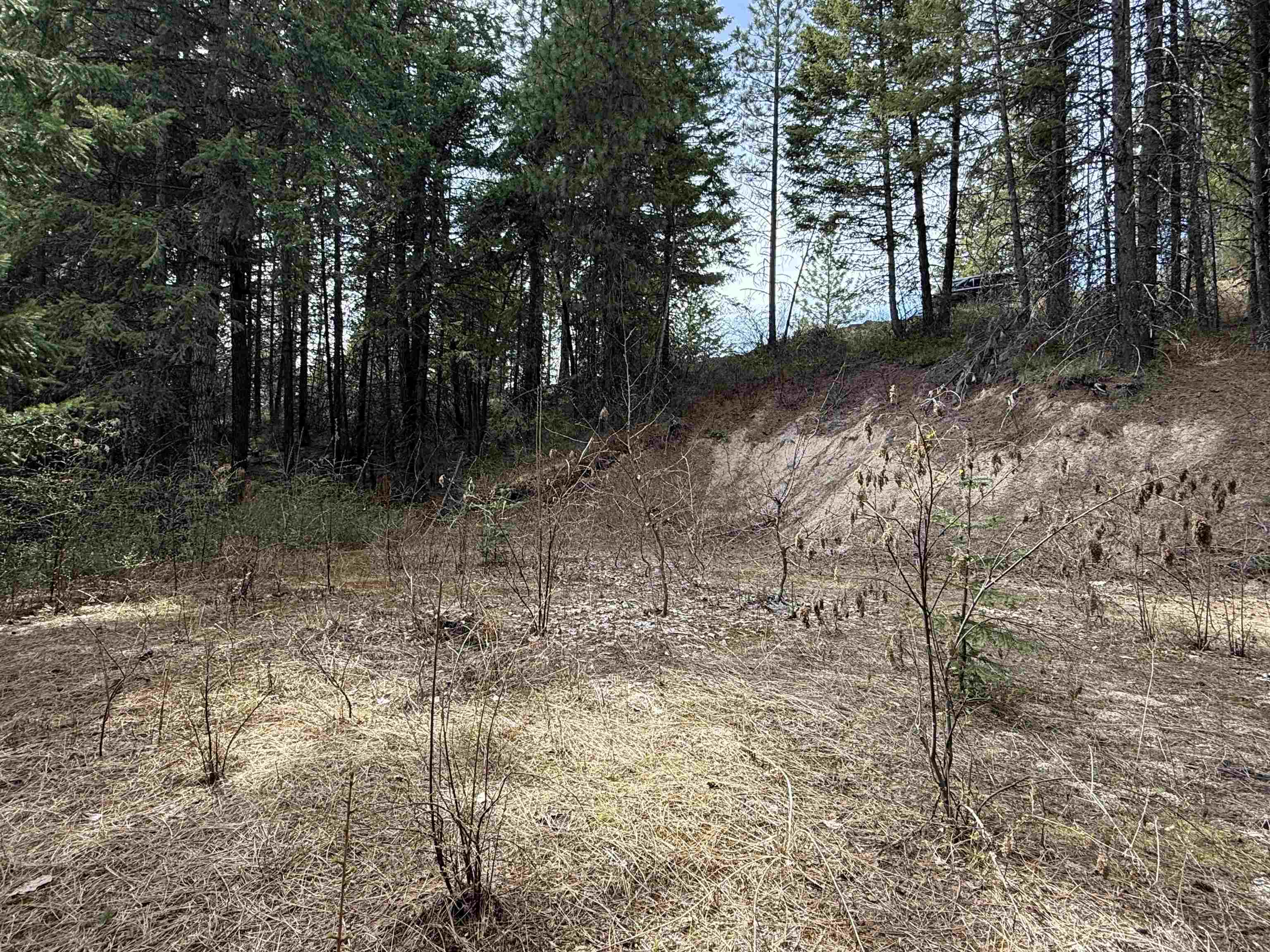 Nna Buck Creek Road Loon Lake, WA 99148 - Photo 18 of 23