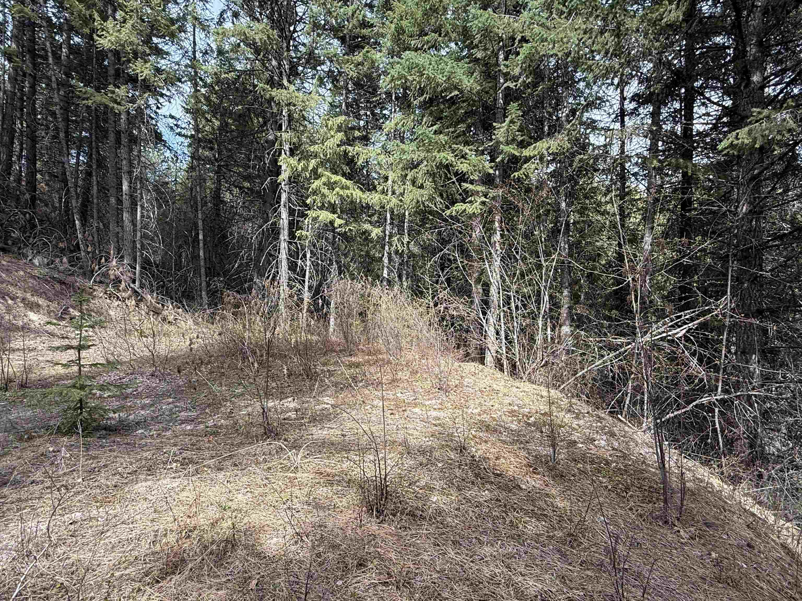 Nna Buck Creek Road Loon Lake, WA 99148 - Photo 19 of 23