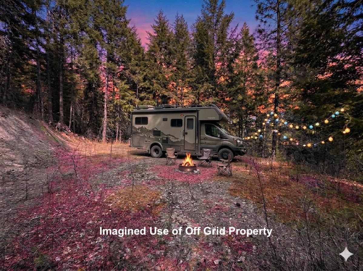 Nna Buck Creek Road Loon Lake, WA 99148 - Photo 2 of 23