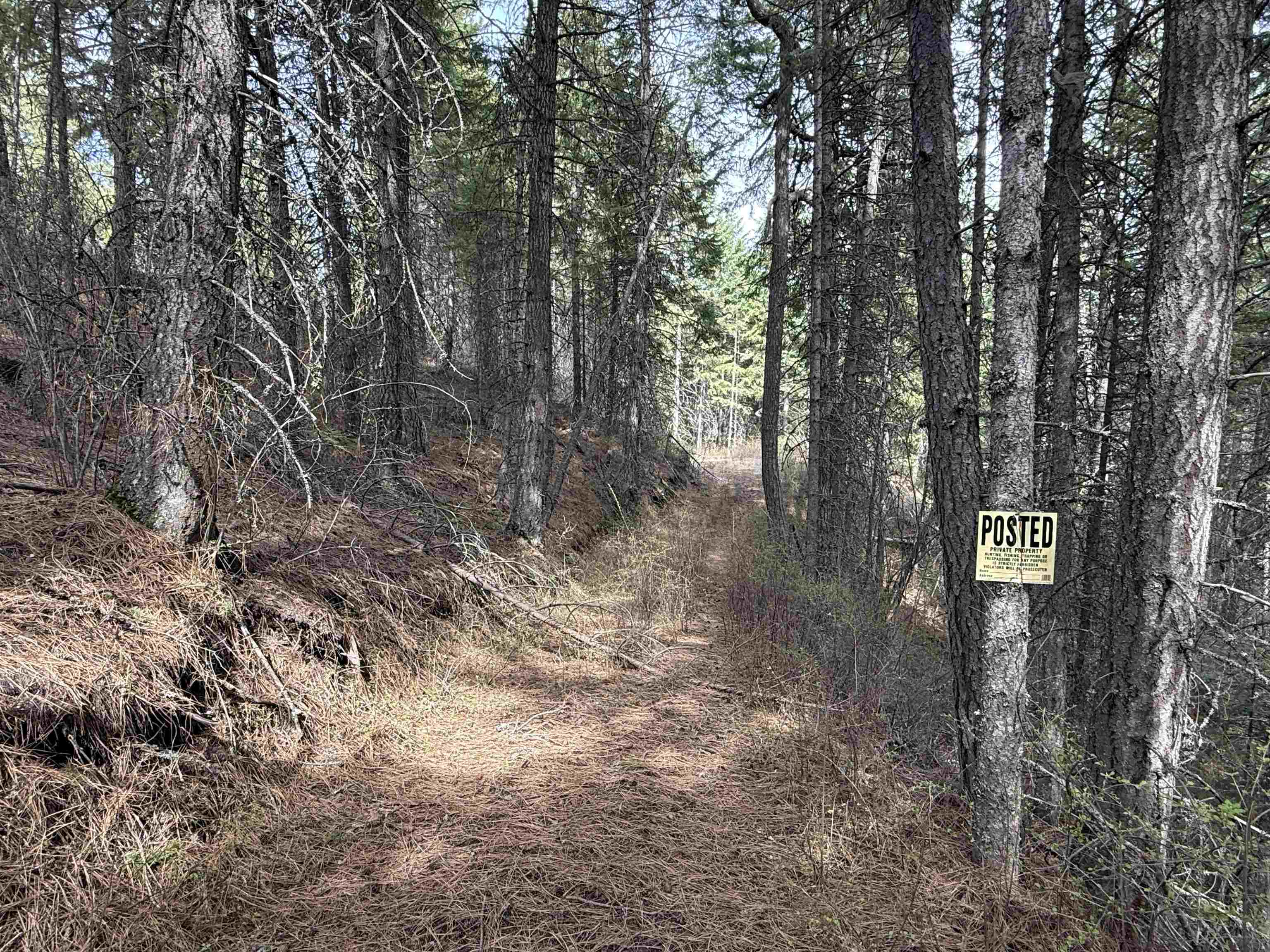 Nna Buck Creek Road Loon Lake, WA 99148 - Photo 22 of 23