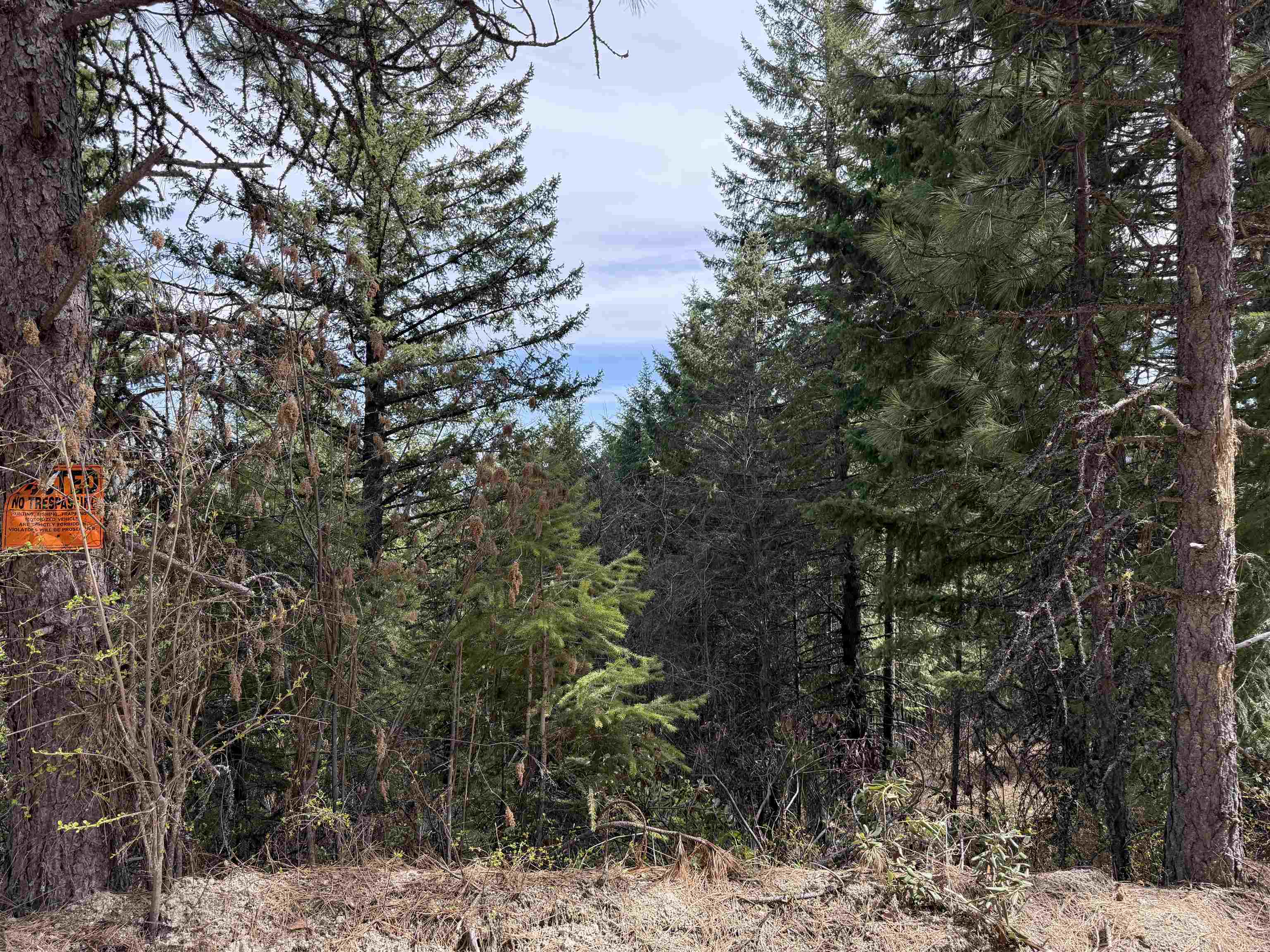 Nna Buck Creek Road Loon Lake, WA 99148 - Photo 23 of 23