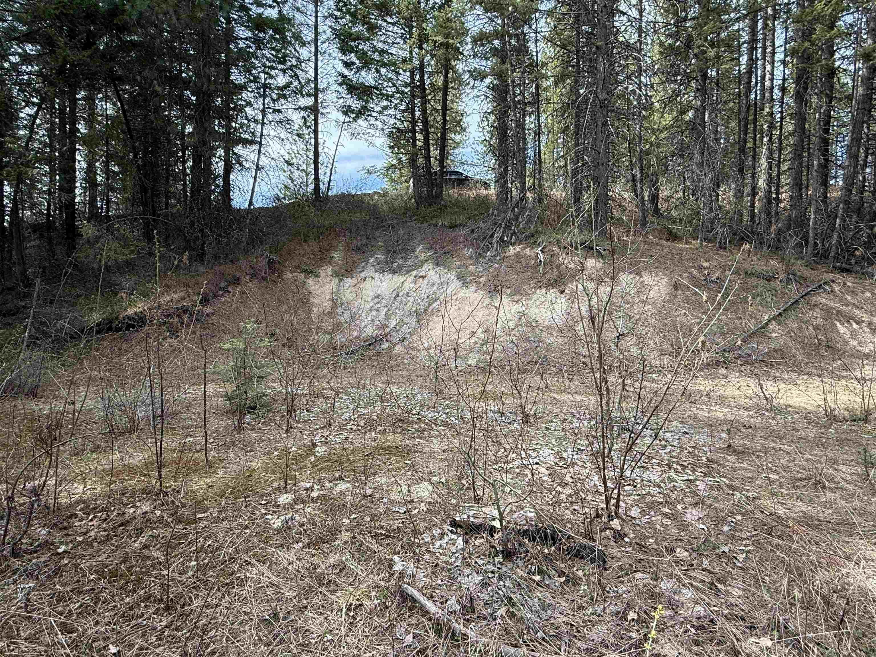 Nna Buck Creek Road Loon Lake, WA 99148 - Photo 4 of 23