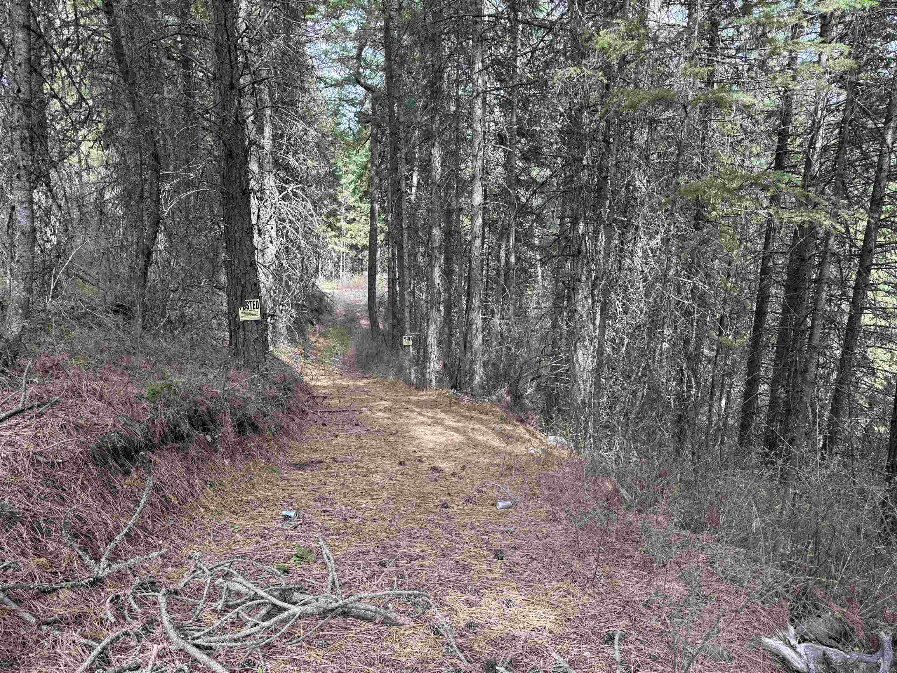 Nna Buck Creek Road Loon Lake, WA 99148 - Photo 5 of 23