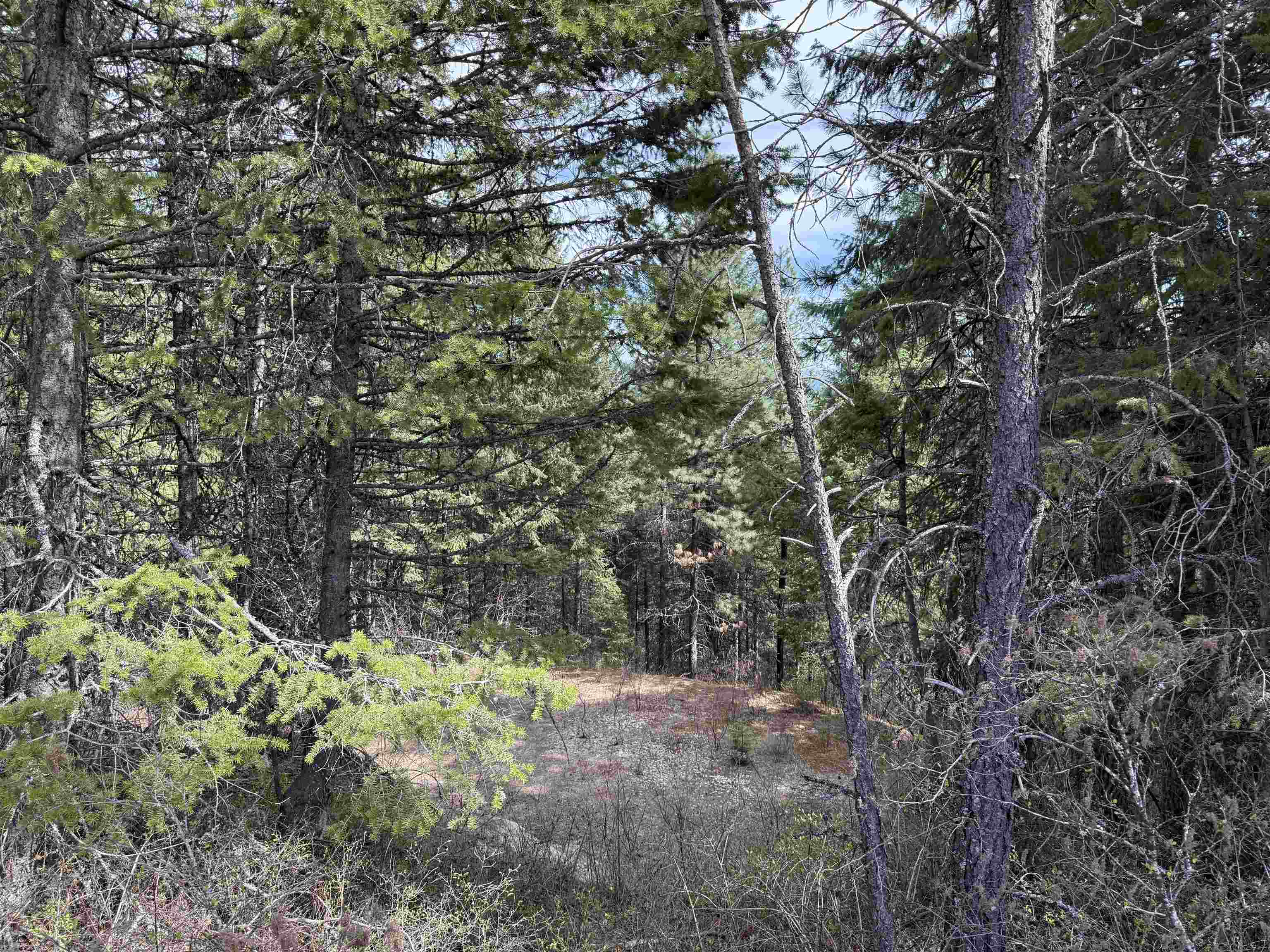 Nna Buck Creek Road Loon Lake, WA 99148 - Photo 7 of 23