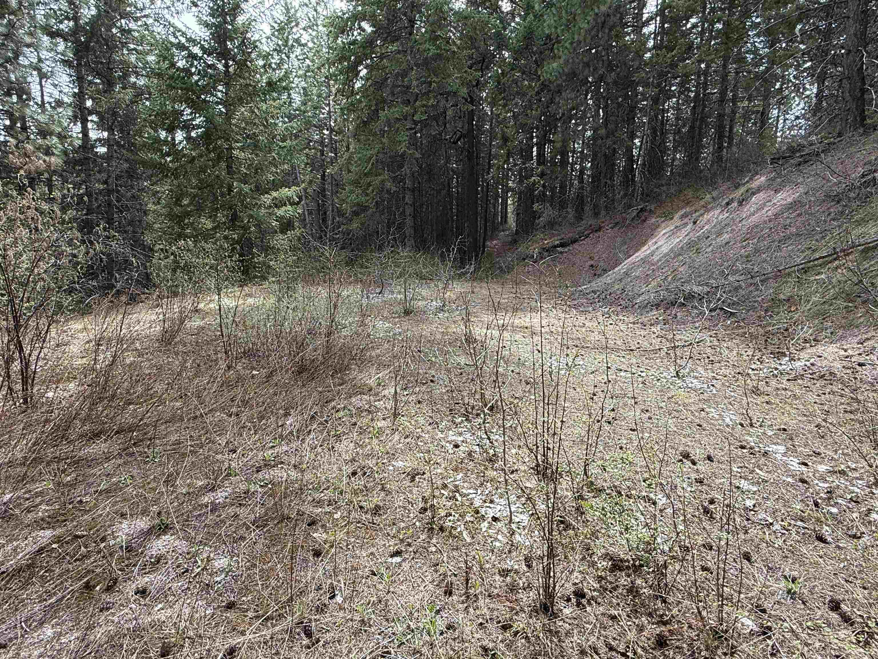 Nna Buck Creek Road Loon Lake, WA 99148 - Photo 8 of 23