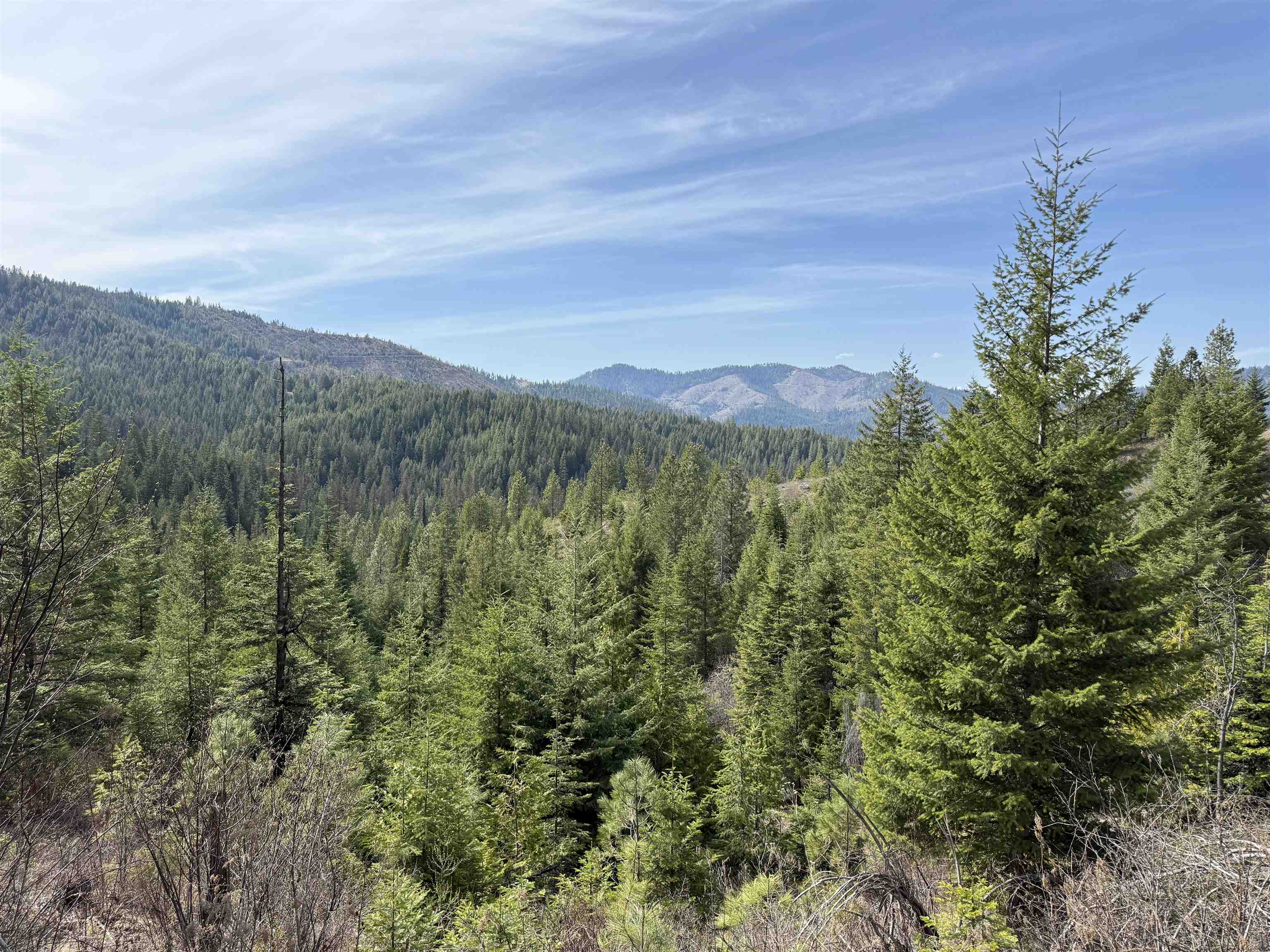 Nna Buck Creek Road Loon Lake, WA 99148 - Photo 9 of 23