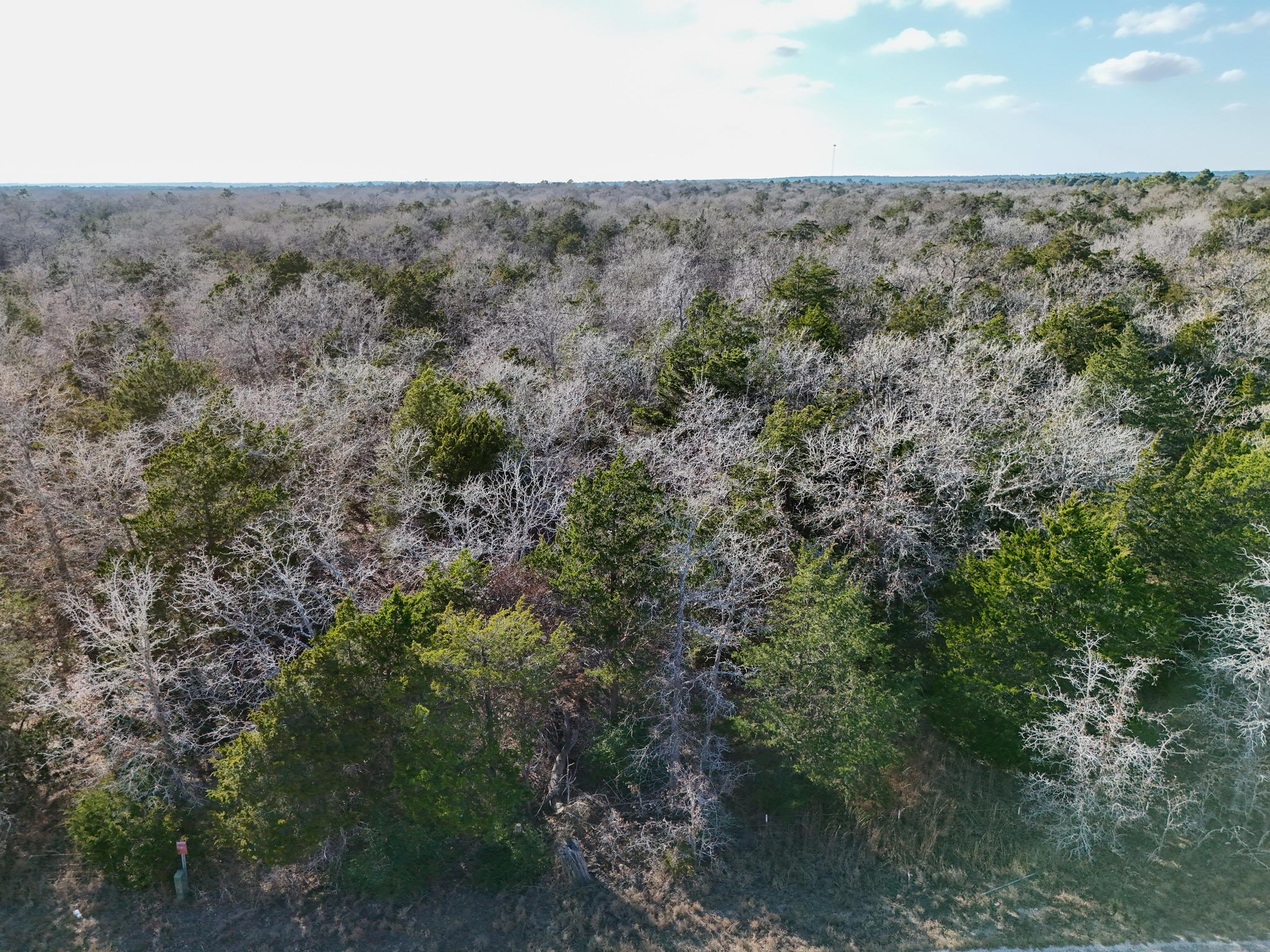 Lot 7 South Old Potato Road Paige, TX 78659 - Photo 11 of 22 Bird's eye view