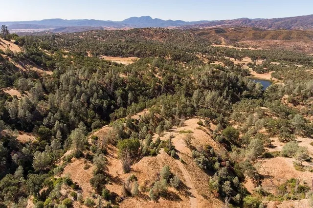a view of a backyard of the house