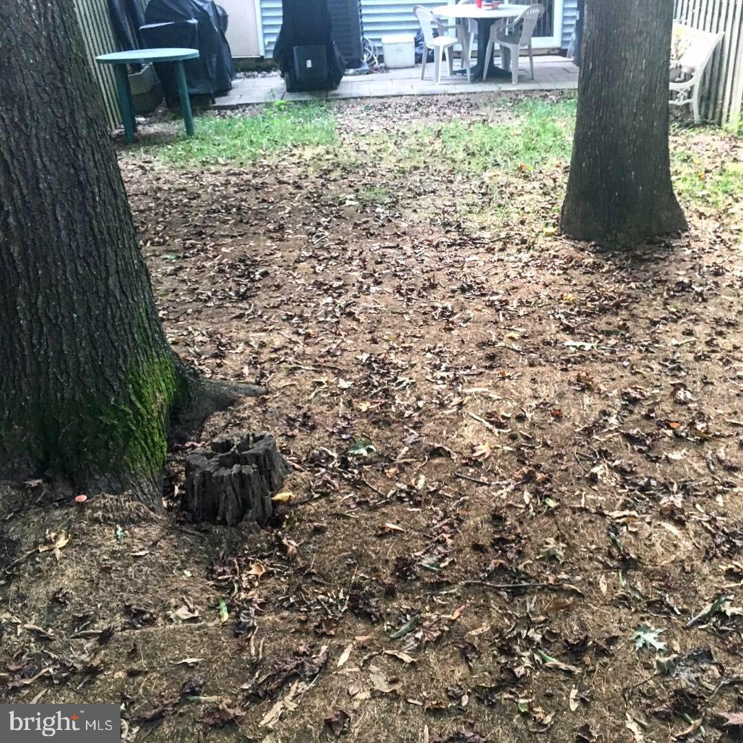 57 Riverside Run Drive Indian Head, MD 20640 - Photo 24 of 24 a backyard of a house with lots of green space