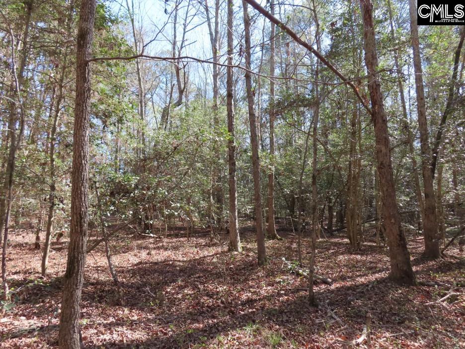 1672 Dixired Road Leesville, SC 29070 - Photo 23 of 67
