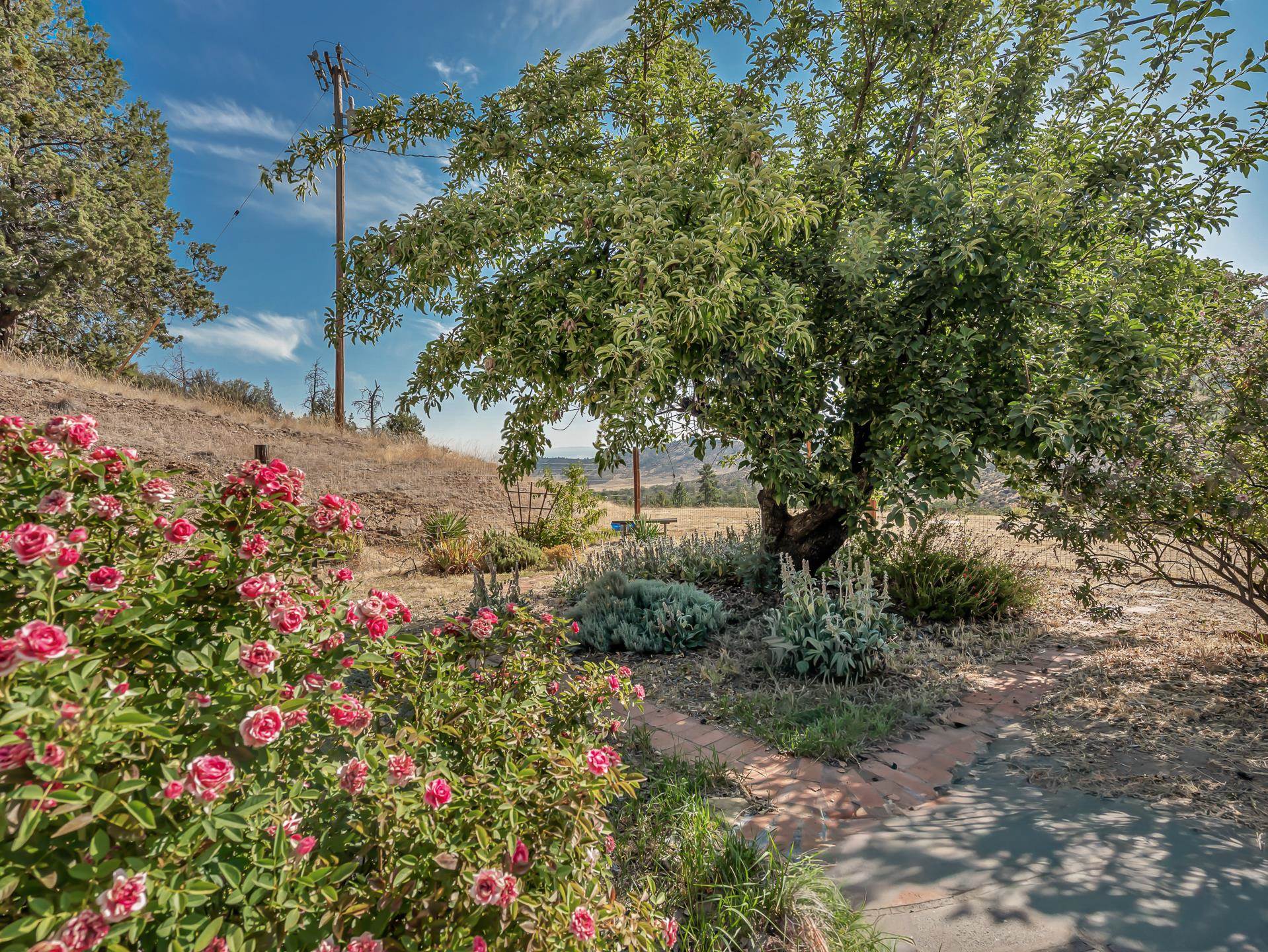 10001 Cram Gulch Road Yreka, CA 96097 - Photo 26 of 32 Gallery Image 26
