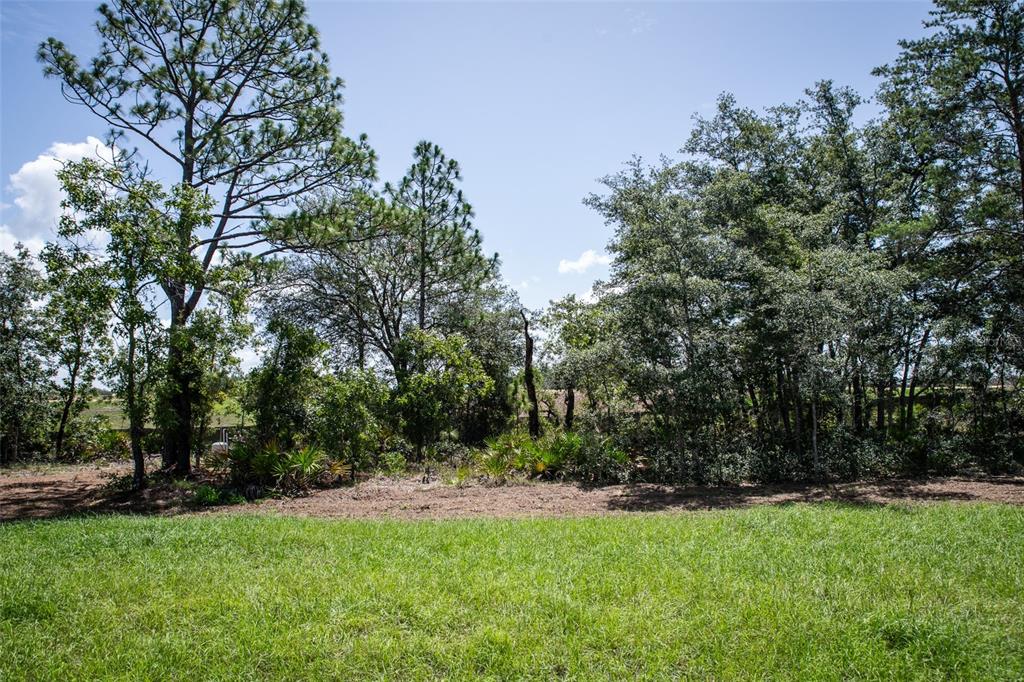 18080 Maberly Road Weeki Wachee, FL 34614 - Photo 37 of 41 Gallery Image 37