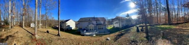 Panoramic back view