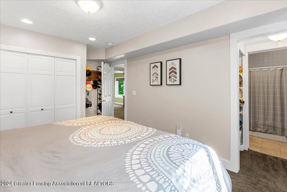 347 North Bridge Street Dimondale, MI 48821 - Photo 42 of 49 42-Media Jett - 45