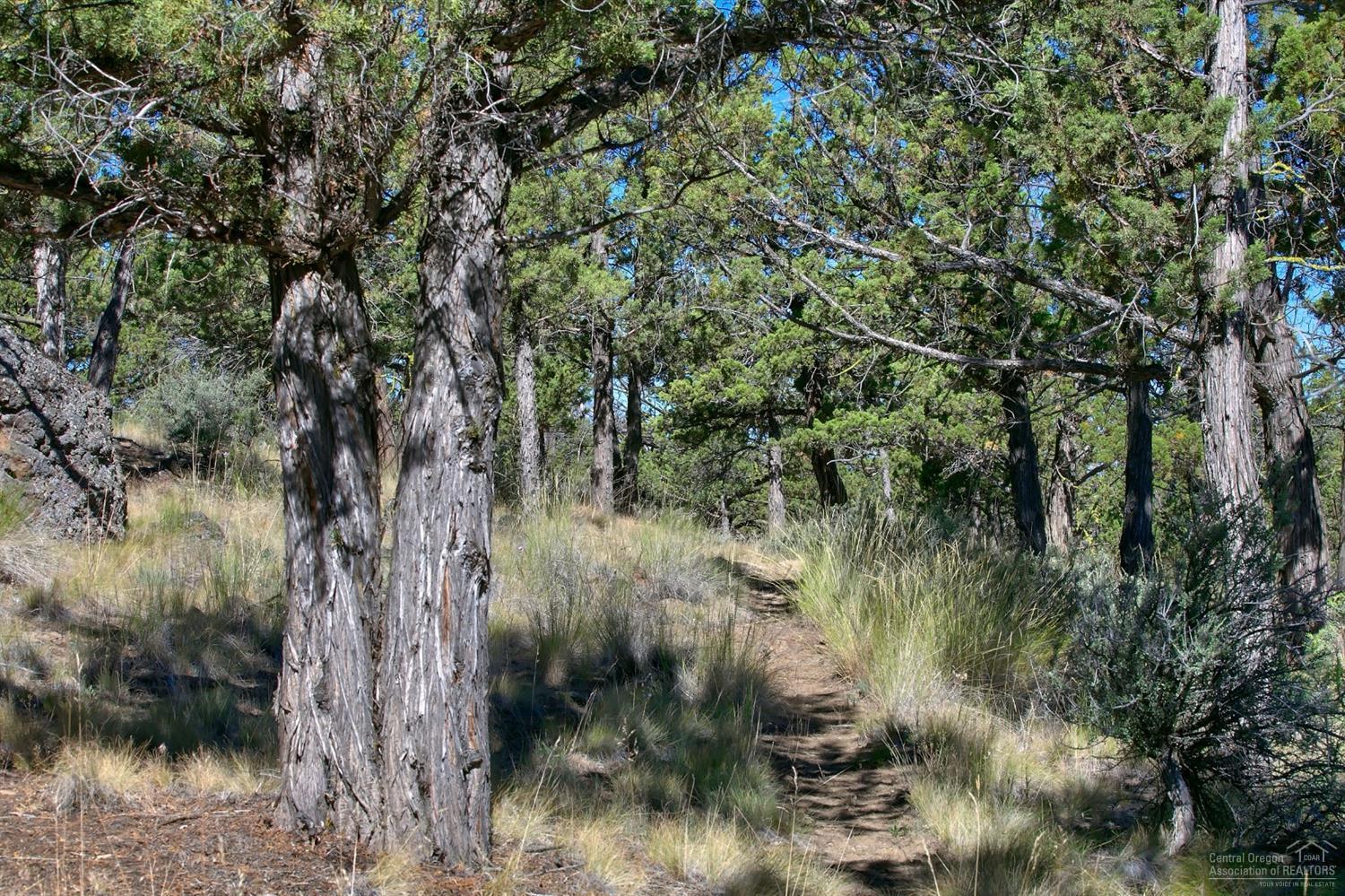 1777 Northwest Wild Rye Circle Bend, OR 97703 - Photo 12 of 25 Additional Photo