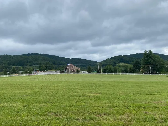 a view of a green field with clear sky