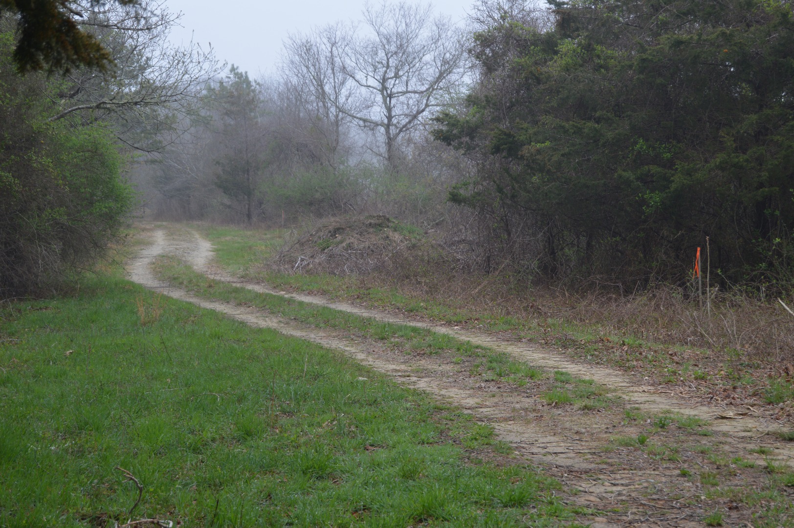 690 Old County Road West Tisbury, MA 02568 - Photo 1 of 1 http://d1qzqeyxiitrap.cloudfront.net/photos/31903/2b83c31c.jpg