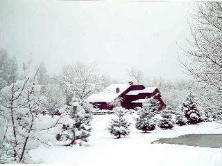 22101 Otter Road Belleville, MI 48111 - Photo 16 of 18 839479-17.JPG
