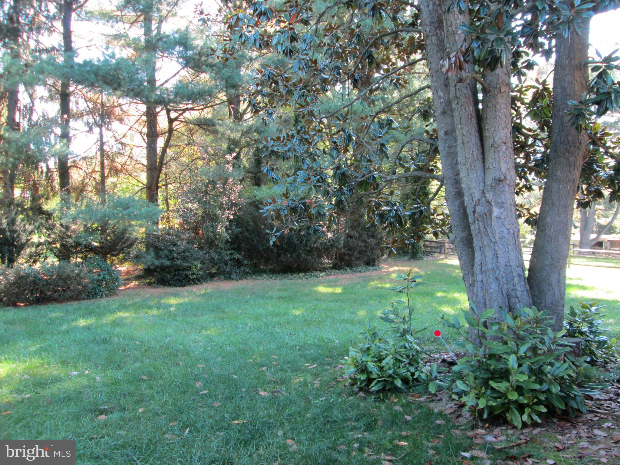 215 East Ring Factory Road Bel Air, MD 21014 - Photo 4 of 21 Exterior (Rear) private rear yard
