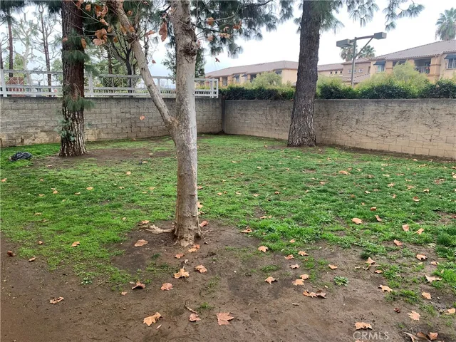 a view of a backyard