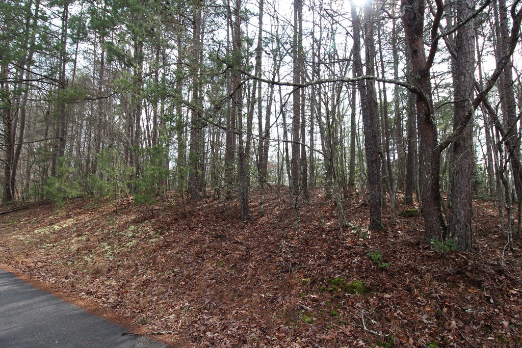 0 Old Evans Road Murphy, NC 28906 - Photo 3 of 13 Gallery Image 3