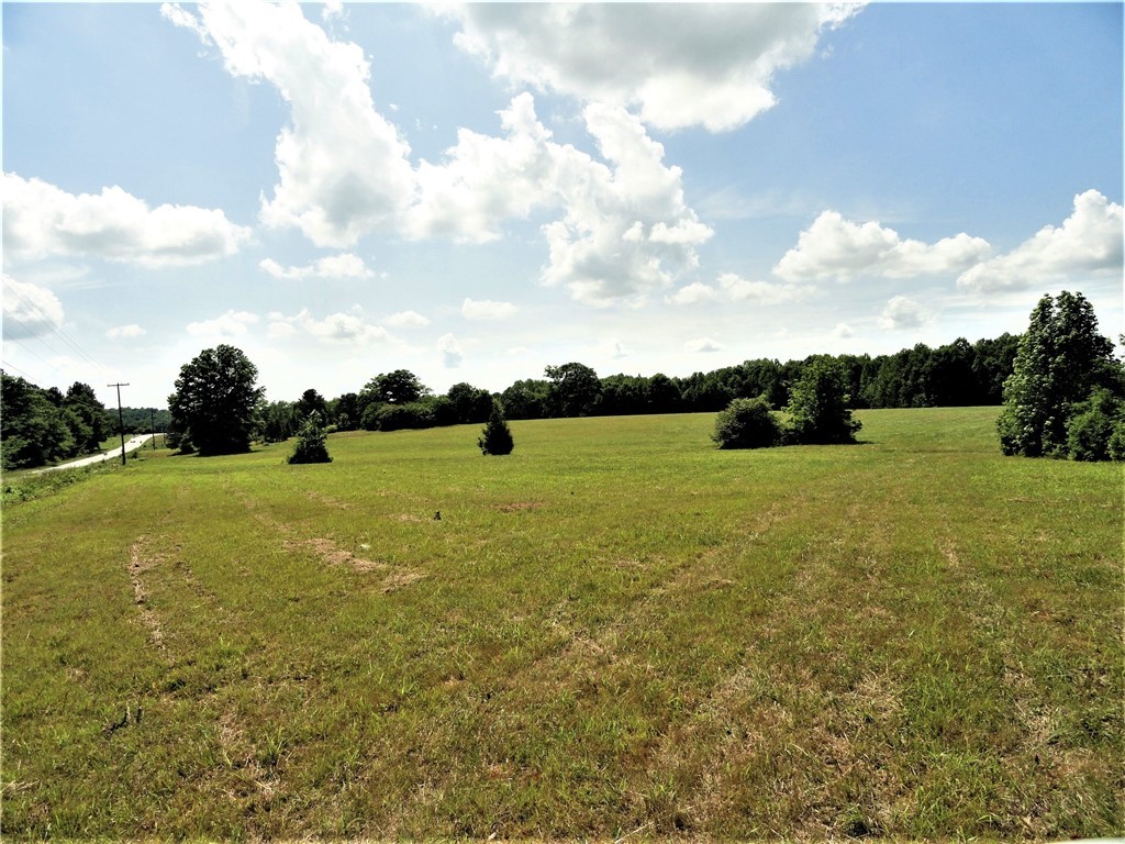 380 Murphy Road Belton, SC 29627 - Photo 2 of 11