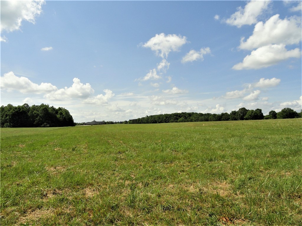 380 Murphy Road Belton, SC 29627 - Photo 4 of 11