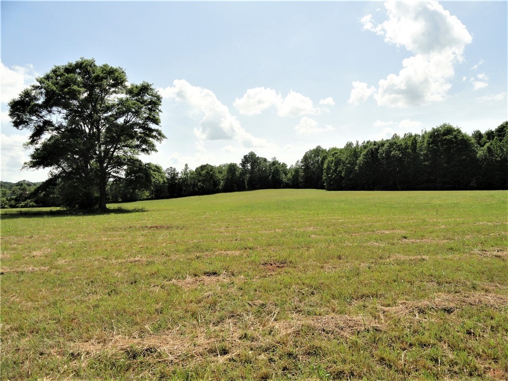 380 Murphy Road Belton, SC 29627 - Photo 7 of 11