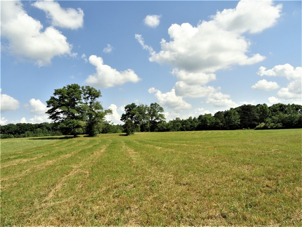 380 Murphy Road Belton, SC 29627 - Photo 8 of 11