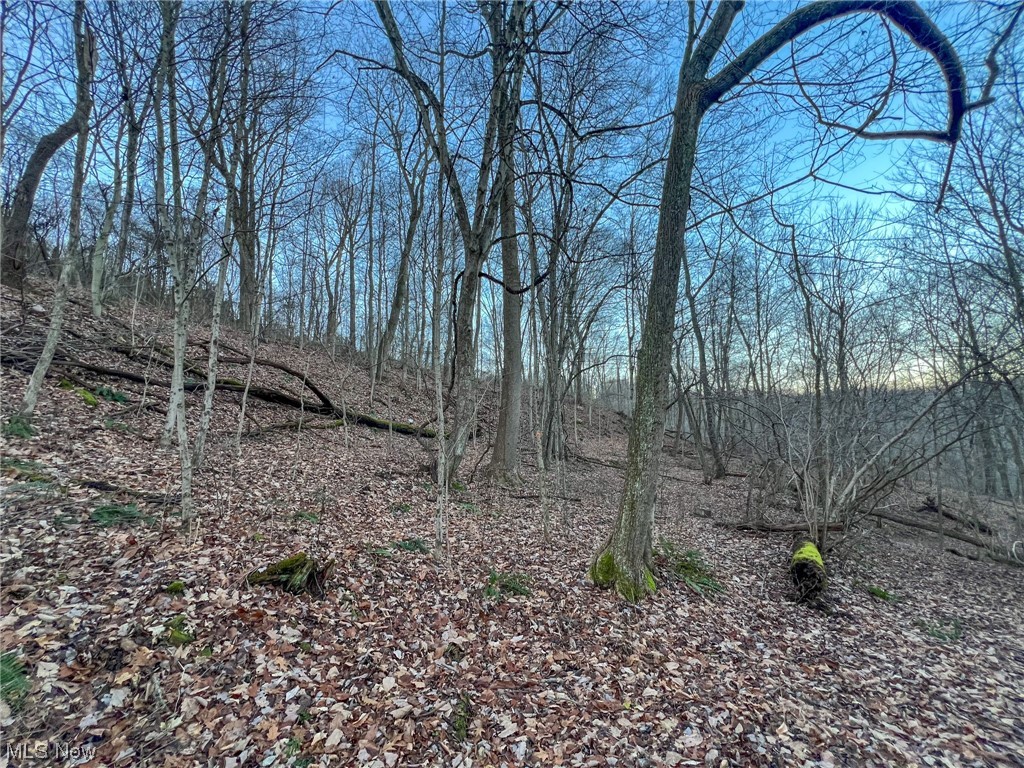 44886 Ludolph Ridge Road New Matamoras, OH 45767 - Photo 30 of 42 View of mother earth's splendor