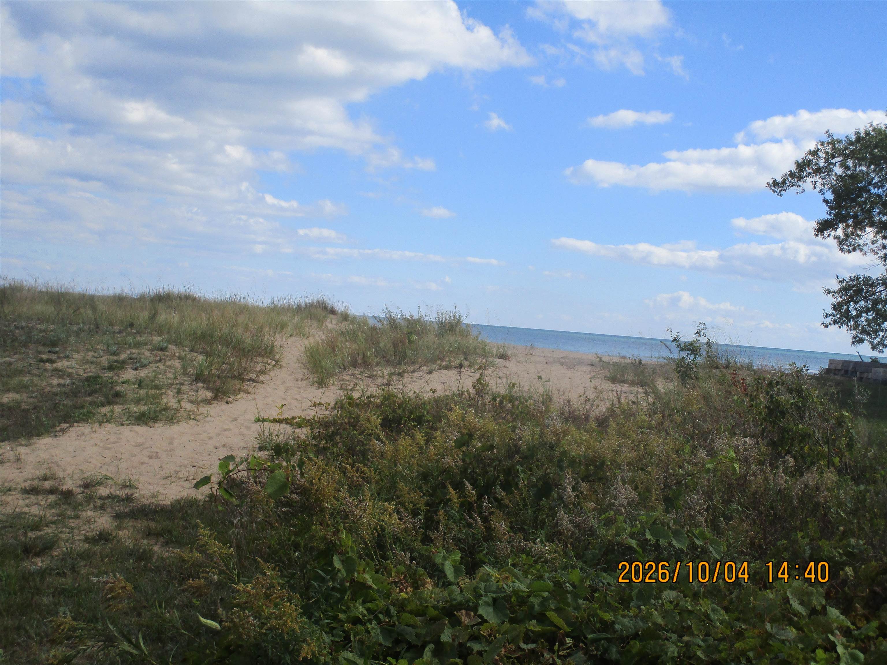 0 Ausable Point Road East Tawas, MI 48730 - Photo 11 of 11 1951306-d8c2d402-f98b-4b83-8d47-d9ddaa1cc650.JPG