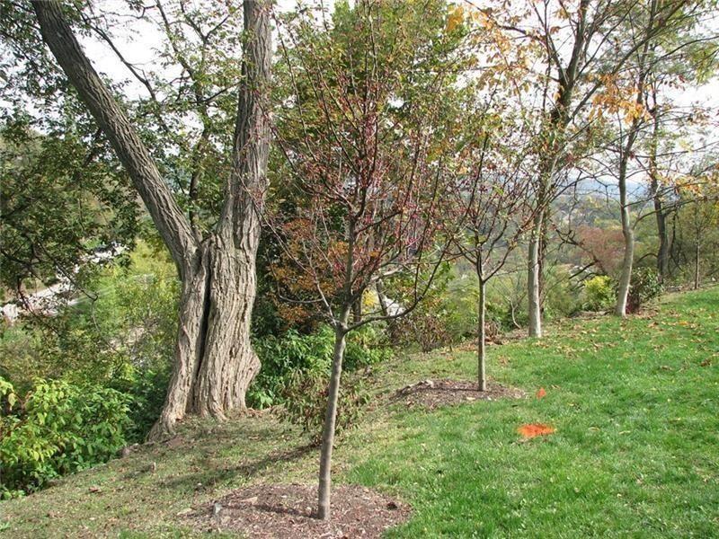 2643 Fernwald Road Pittsburgh, PA 15217 - Photo 1 of 2 a backyard of a house with lots of trees