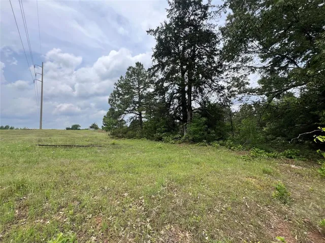 a view of a field with trees in the background