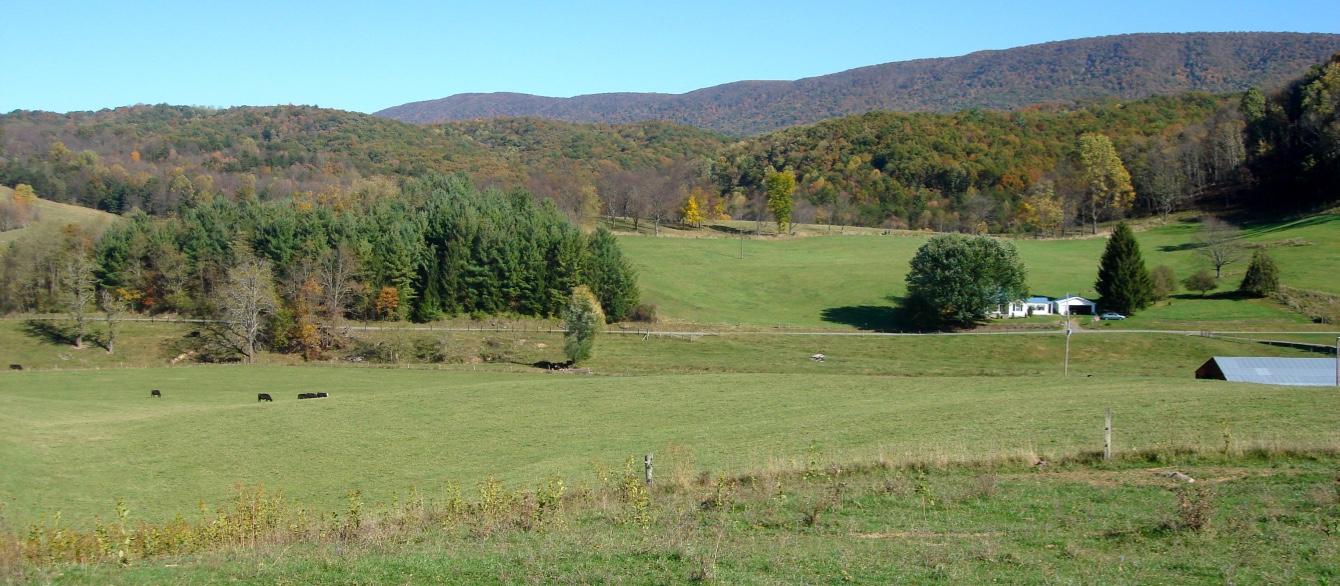 839 Dunkard Church Road Lindside, WV 24951 - Photo 15 of 27 Gallery Image 15