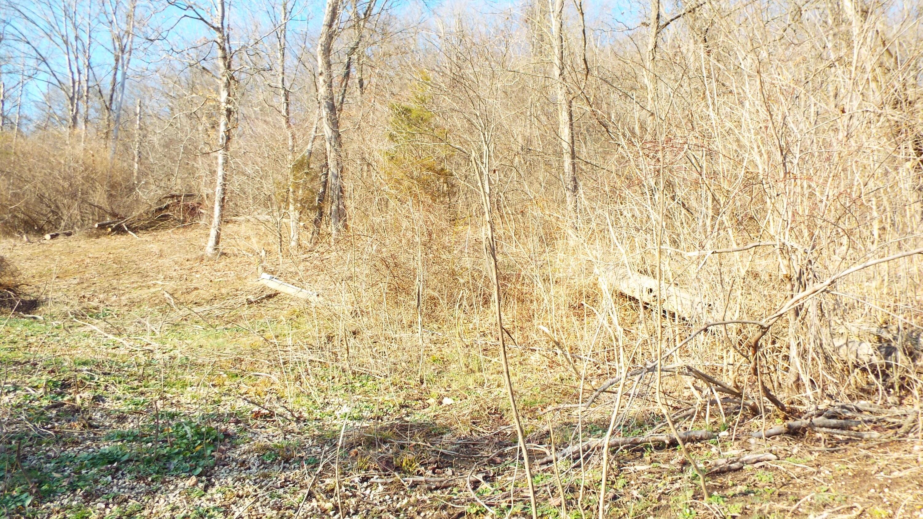 0 Bessemer Road Nelsonville, OH 45764 - Photo 5 of 9 DSCF6412