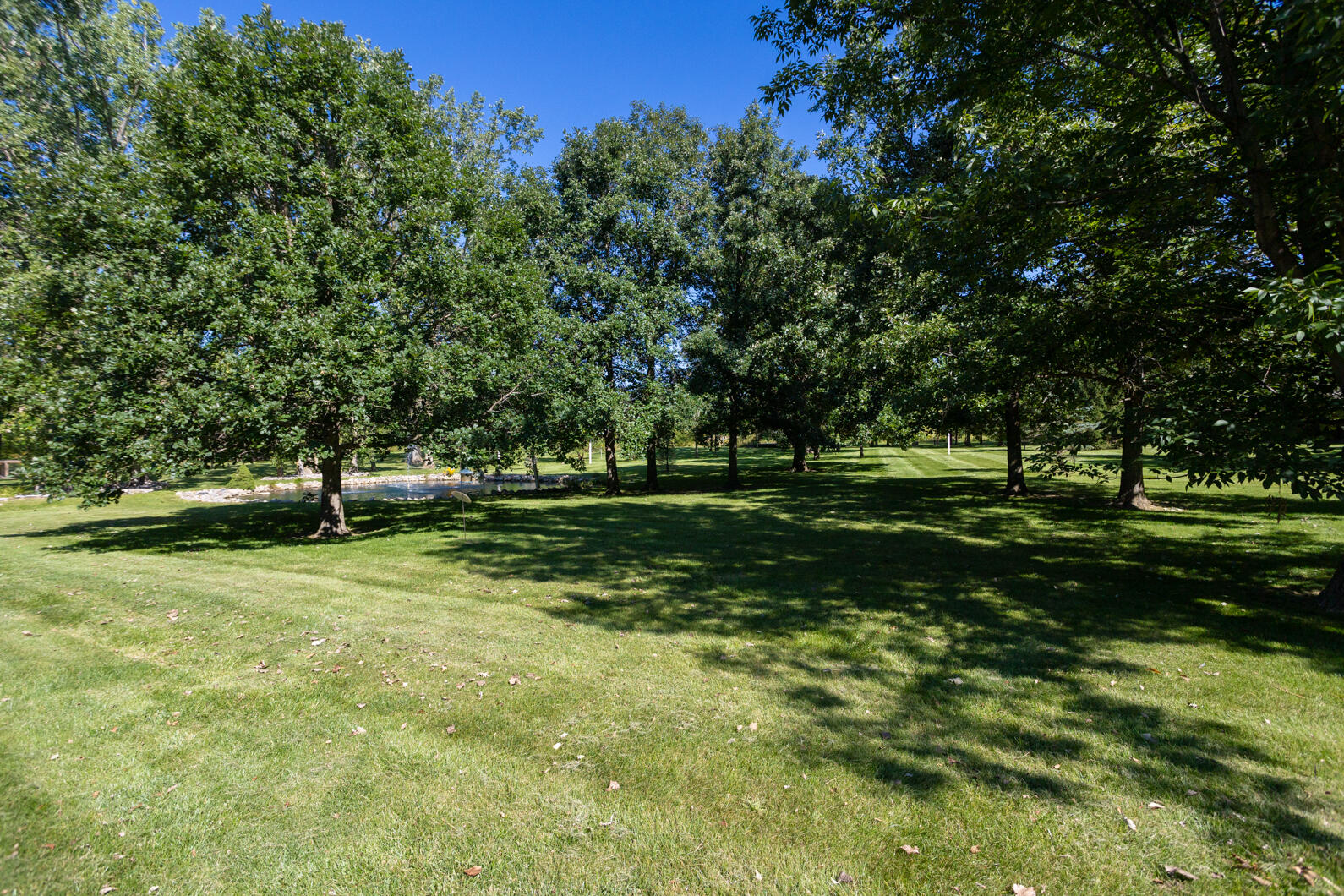 8528 Slee Road Onsted, MI 49265 - Photo 79 of 104 0N0A9921
