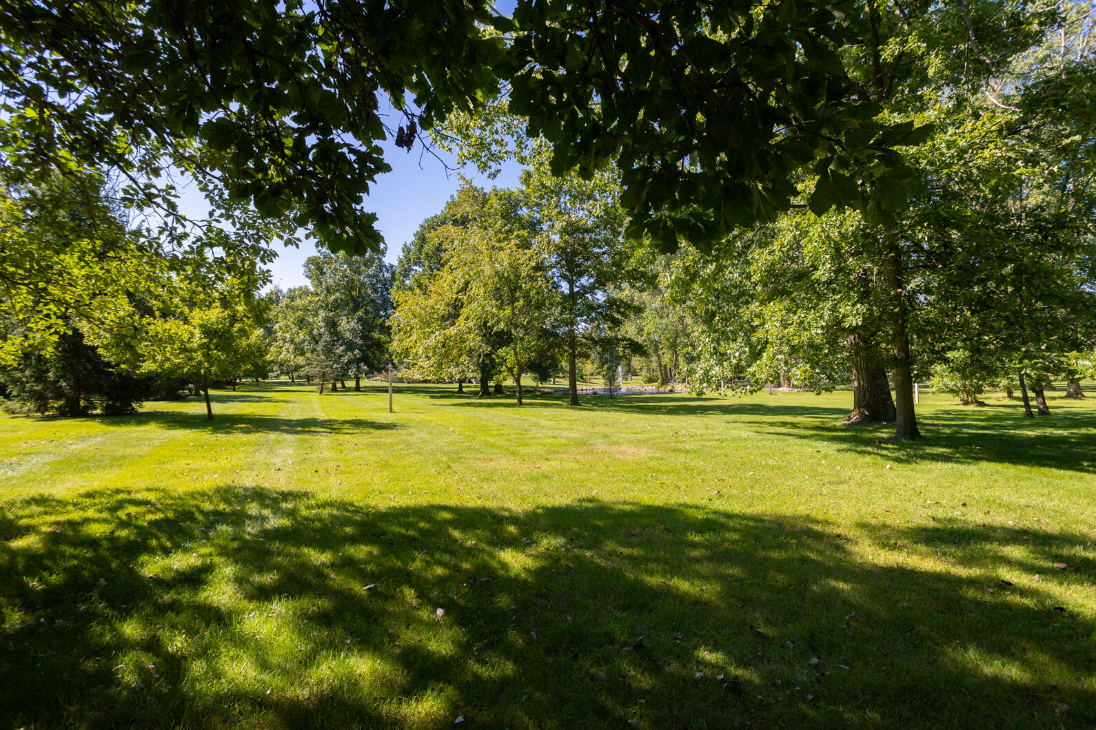 8528 Slee Road Onsted, MI 49265 - Photo 85 of 104 0N0A9933