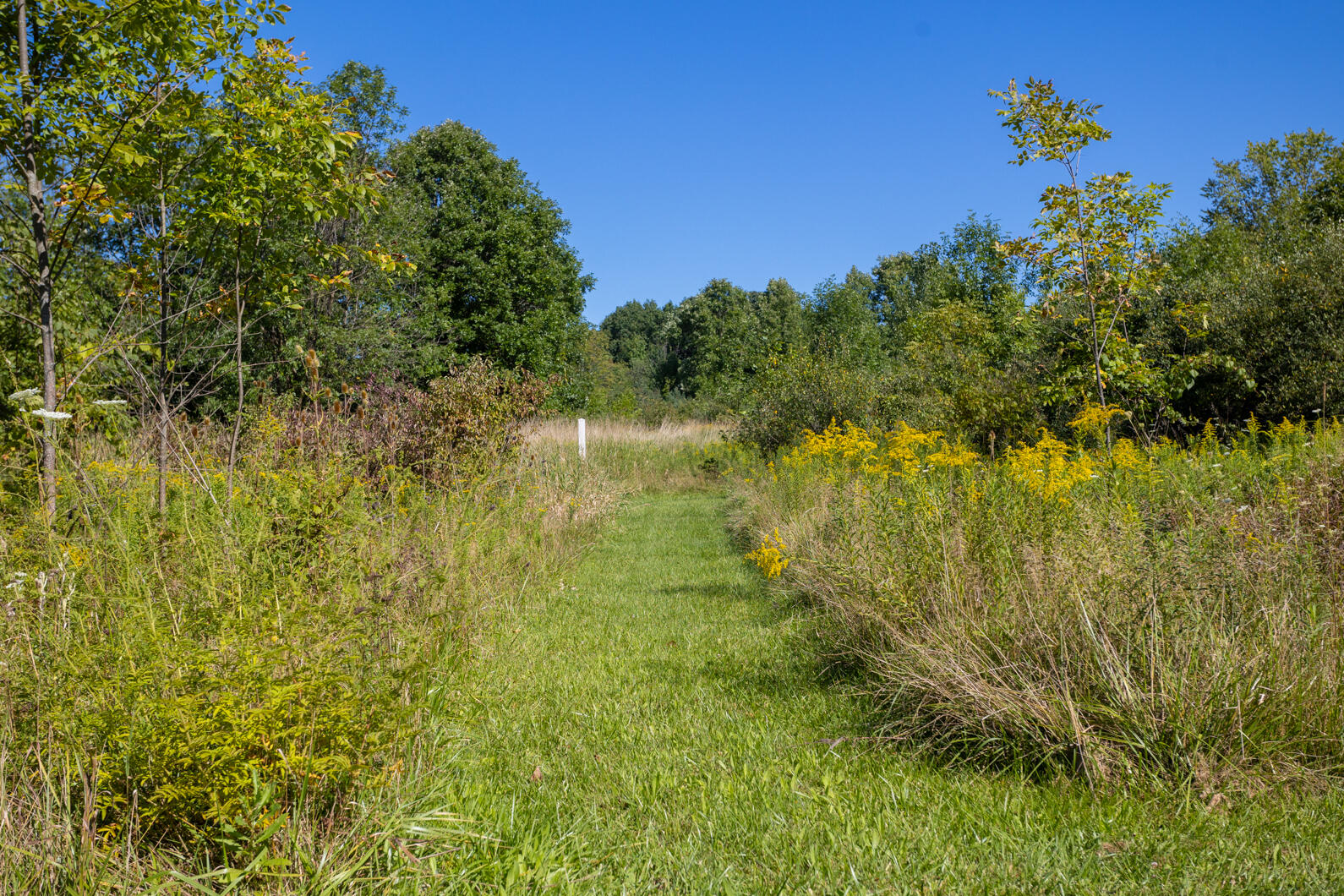 8528 Slee Road Onsted, MI 49265 - Photo 87 of 104 0N0A9936